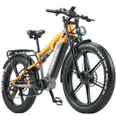 RANDRIDE YX80M PLUS Electric Bike